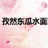 孜然東瓜水面筋（關于孜然東瓜水面筋介紹）