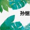 孫繼剛（關于孫繼剛介紹）