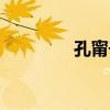 孔甯子（關于孔甯子介紹）