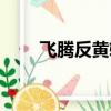 飛騰反黃軟件安卓（飛騰反黃軟件）