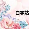 白字姑爺100密碼（白字姑爺）