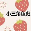 小三角魚歸來（關于小三角魚歸來簡介）
