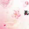 孔檜（關于孔檜介紹）