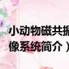 小動物磁共振成像系統（關于小動物磁共振成像系統簡介）