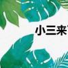 小三來了（關于小三來了簡介）