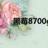 黑莓8700g桌面管理器（黑莓8700g）