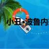 小丑·波魯內杰（關于小丑·波魯內杰簡介）