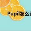 Pupil怎么讀英語（pupils怎么讀英語）