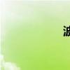 波導線（波導i700）