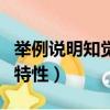 舉例說明知覺的特性和功能（舉例說明知覺的特性）