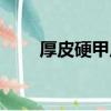 厚皮硬甲皮哪里多（硬甲皮哪里多）