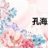 孔海廣（關于孔海廣介紹）