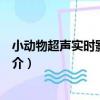 小動物超聲實時影像系統（關于小動物超聲實時影像系統簡介）