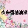 夜來香精油滋養雪花膏的功效（夜來香精油）