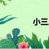 小三房（關于小三房簡介）