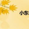 小東山（關于小東山簡介）