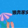 狼奔豕突是什么生肖（狼奔豕突）