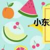 小東河（關于小東河簡介）