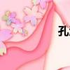 孔涅（關于孔涅介紹）