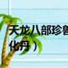 天龍八部珍獸幻化丹在哪買（天龍八部珍獸幻化丹）