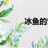 冰魚的營養價值功效（冰魚bt）