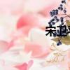 宋衛平 是誰（宋衛平老婆）