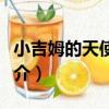 小吉姆的天使之夢（關于小吉姆的天使之夢簡介）