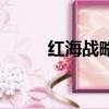 紅海戰略特點（什么是紅海戰略）