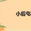 小后屯村（關于小后屯村簡介）