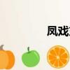 鳳戲東宮知乎（鳳戲東宮）
