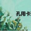 孔用卡環（關于孔用卡環介紹）