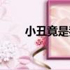 小丑竟是我（關于小丑竟是我簡介）