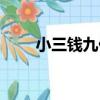 小三錢九億（關于小三錢九億簡介）