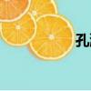 孔瀚（關于孔瀚介紹）