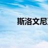 斯洛文尼亞小姐（斯洛文尼亞女郎）