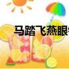 馬踏飛燕眼鏡廠家地址（馬踏飛燕眼鏡）