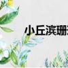 小丘濱珊瑚（關于小丘濱珊瑚簡介）