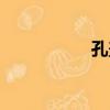 孔蓋（關于孔蓋介紹）