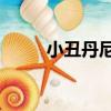 小丑丹尼2（關于小丑丹尼2簡介）