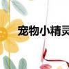 寵物小精靈BW（寵物小精靈bw圖鑒）