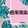 小呂宋洗染店（關于小呂宋洗染店簡介）