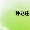 孫老莊村（關于孫老莊村介紹）