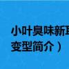 小葉臭味新耳草 變型（關于小葉臭味新耳草 變型簡介）