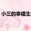 小三的幸福生活（關于小三的幸福生活簡介）