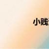 小賤資源站（小賤中文網）