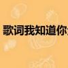 歌詞我知道你全都知道（我知道你全都知道）