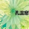 孔溫窟哇（關于孔溫窟哇介紹）