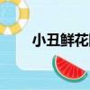 小丑鮮花網（關于小丑鮮花網簡介）