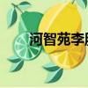 河智苑李勝基mv愛情哭了kwill視頻