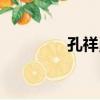 孔祥勇（關于孔祥勇介紹）